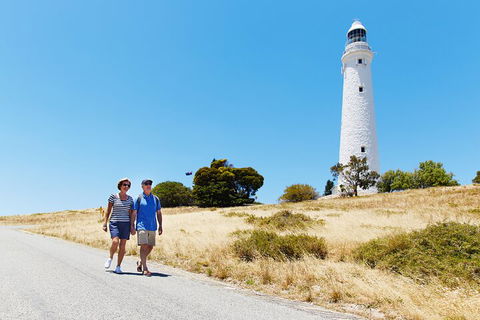 Rottnest Island Full-Day Trip With Guided Island Tour From Perth - Tweed Heads Accommodation 4