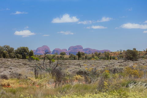 Overnight Uluru (Ayers Rock) Small-Group Camping Tour - Tweed Heads Accommodation 0