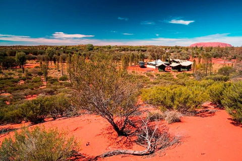 Overnight Uluru (Ayers Rock) Small-Group Camping Tour - Tweed Heads Accommodation 2