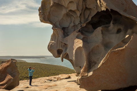 Kangaroo Island In A Day Tour From Adelaide - Tweed Heads Accommodation 5