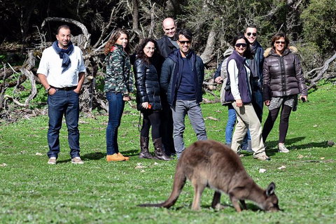 2-Day Kangaroo Island 4WD Small-Group Tour From Adelaide - Tweed Heads Accommodation 1