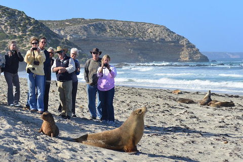 2-Day Kangaroo Island 4WD Small-Group Tour From Adelaide - Tweed Heads Accommodation 3