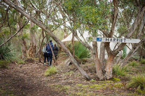 2-Day Kangaroo Island 4WD Small-Group Tour From Adelaide - Tweed Heads Accommodation 5