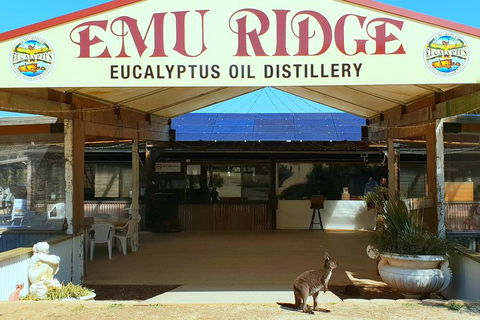 2 Day Ultimate Kangaroo Island With Return Ferry - Tweed Heads Accommodation 3