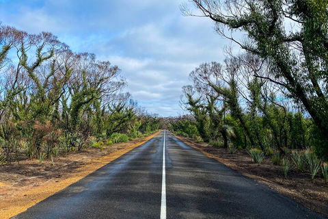 2 Day Ultimate Kangaroo Island With Return Ferry - Tweed Heads Accommodation 4
