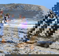 Full day Seal Bay Experience departing from Kangaroo Island - Tweed Heads Accommodation