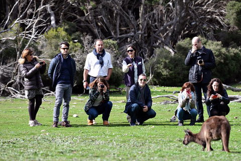 Small-Group Kangaroo Island 4WD Tour From Adelaide - Tweed Heads Accommodation 2
