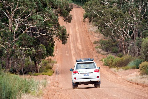 Small-Group Kangaroo Island 4WD Tour From Adelaide - Tweed Heads Accommodation 3