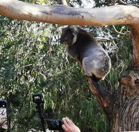 Small-Group Great Ocean Road Day Trip from Melbourne - Tweed Heads Accommodation