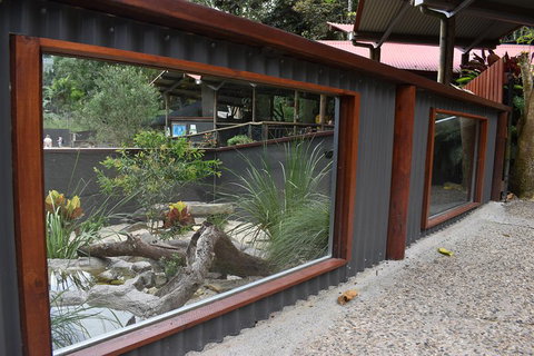 Kuranda Koala Gardens And Birdworld Admission Tickets - Tweed Heads Accommodation 4