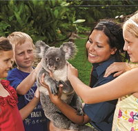 Kuranda Koala Gardens General Entry Ticket - Tweed Heads Accommodation