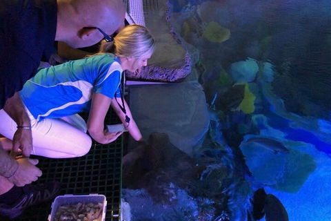 Cairns Aquarium Marine Life Encounter Ticket With 2-Course Lunch - Tweed Heads Accommodation 2