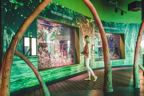 Cairns Aquarium Marine Life Encounter Ticket With 2-Course Lunch - Tweed Heads Accommodation 3