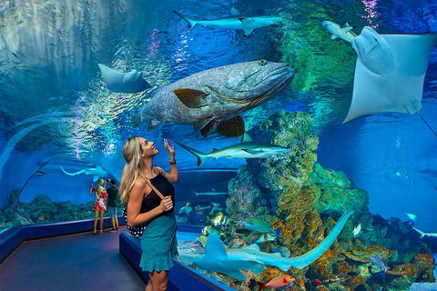 Cairns Aquarium Admission Ticket - Tweed Heads Accommodation 3