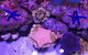 Cairns Aquarium Admission Ticket - thumb 5
