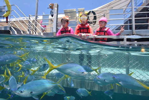 Outer Reef Pontoon Experience From Cairns - Tweed Heads Accommodation 0