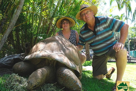Small-Group Australia Zoo Day Trip From Brisbane - Tweed Heads Accommodation 1