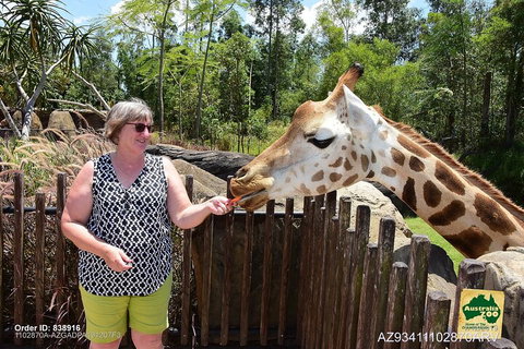Small-Group Australia Zoo Day Trip From Brisbane - Tweed Heads Accommodation 2