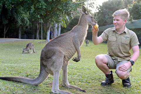 Small-Group Australia Zoo Day Trip From Brisbane - Tweed Heads Accommodation 4