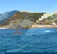 Kayaking with Dolphins in Byron Bay Guided Tour - Tweed Heads Accommodation