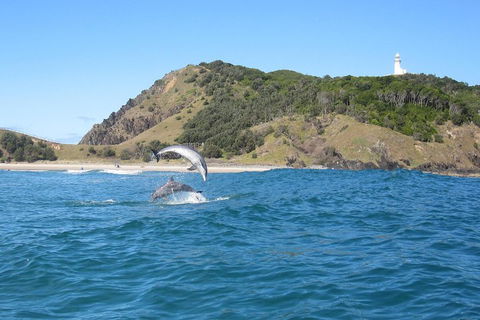 Kayaking With Dolphins In Byron Bay Guided Tour - Tweed Heads Accommodation 0
