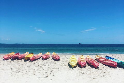 Kayaking With Dolphins In Byron Bay Guided Tour - Tweed Heads Accommodation 1
