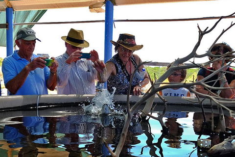 Cape Leveque 4WD Tour From Broome With Optional Return Flight - Tweed Heads Accommodation 0