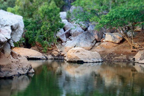 Windjana Gorge And Tunnel Creek 4WD Tour From Broome - Tweed Heads Accommodation 5