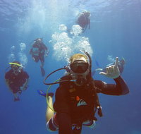 12-Day Great Barrier Reef Marine Conservation Program from Cairns - Tweed Heads Accommodation