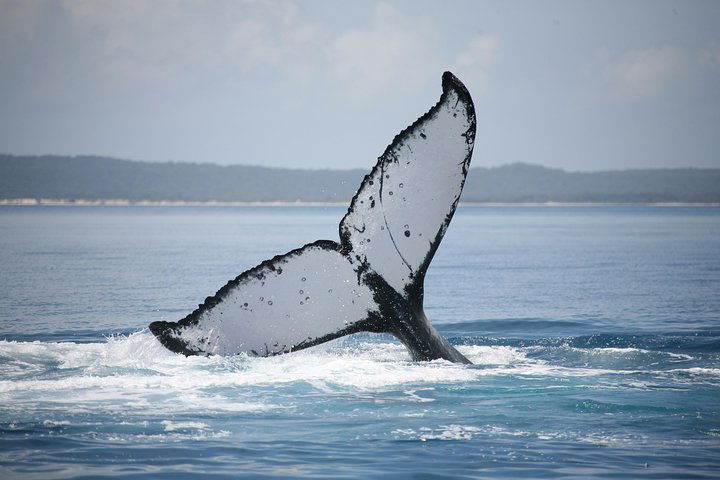  Tweed Heads Accommodation