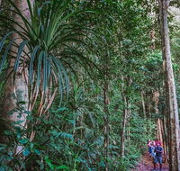 Atherton Tablelands Rain Forest by Night from Cairns - Tweed Heads Accommodation