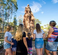 Litchfield National Park Waterfalls and Wildlife Tour from Darwin - Tweed Heads Accommodation