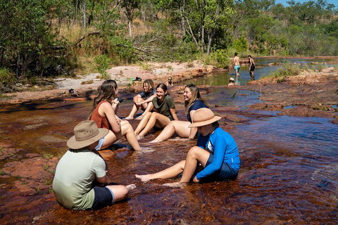 Litchfield National Park Waterfalls And Wildlife Tour From Darwin - Tweed Heads Accommodation 1