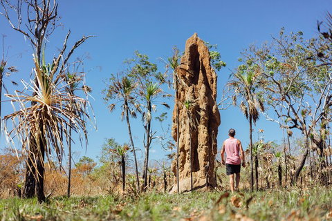 Litchfield National Park Waterfalls And Wildlife Tour From Darwin - Tweed Heads Accommodation 4