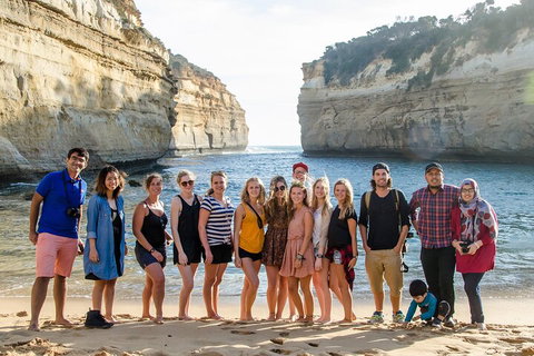 Great Ocean Road 2 Day Highlights Tour And Sunset 12 Apostles - Tweed Heads Accommodation 4