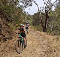 Mount Lofty Descent Bike Tour from Adelaide - Tweed Heads Accommodation