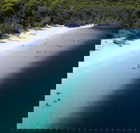 All-Inclusive Fraser Island Day Tour - Tweed Heads Accommodation