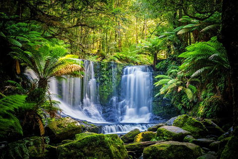 Day Tour In Mt. Field, Mt. Wellington, Bonorong Wildlife Sanctuary And Richmond - Tweed Heads Accommodation 0