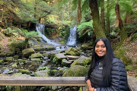 Day Tour In Mt. Field, Mt. Wellington, Bonorong Wildlife Sanctuary And Richmond - Tweed Heads Accommodation 5