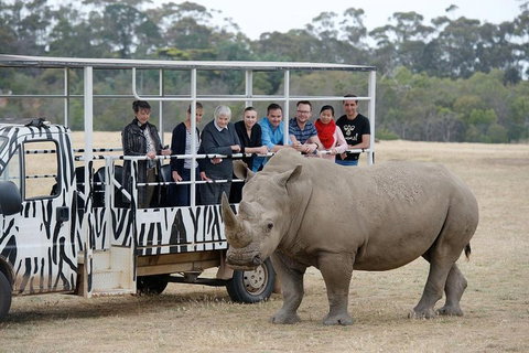Off-Road Safari At Werribee Open Range Zoo - Tweed Heads Accommodation 0