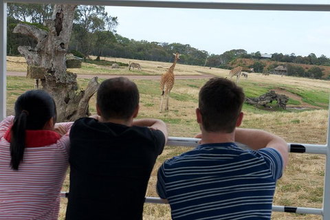 Off-Road Safari At Werribee Open Range Zoo - Tweed Heads Accommodation 4