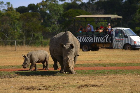 Off-Road Safari At Werribee Open Range Zoo - Tweed Heads Accommodation 5