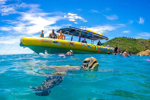 Great Barrier Reef Scenic Flight And Ocean Rafting Whitehaven Beach Day Trip - Tweed Heads Accommodation 1