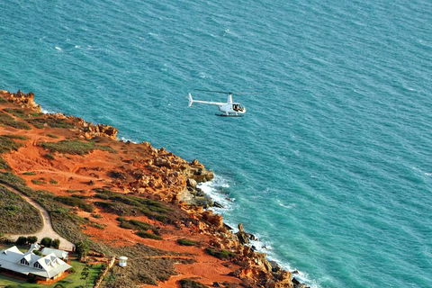 Half-Day Willie Creek Pearl Farm Tour With Helicopter Flight - Tweed Heads Accommodation 4