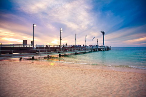 Tangalooma Island Resort Whale Watching Day Cruise With Dolphin Viewing - Tweed Heads Accommodation 3