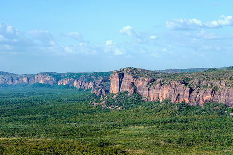 Jabiru 60 Minute Scenic Flight - Tweed Heads Accommodation 4
