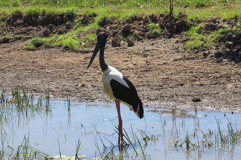 Darwin To Kakadu Day Trip By Air Including Yellow Water Cruise - Tweed Heads Accommodation 0