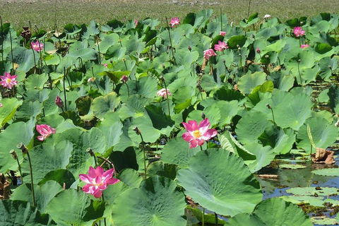 Darwin To Kakadu Day Trip By Air Including Yellow Water Cruise - Tweed Heads Accommodation 2