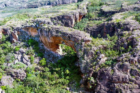 Darwin To Kakadu Day Trip By Air Including Yellow Water Cruise - Tweed Heads Accommodation 4