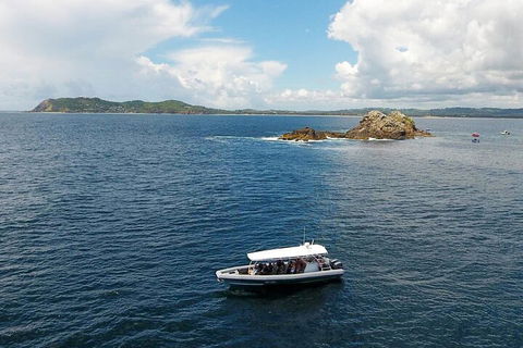 Julian Rocks Byron Bay Cruise - Tweed Heads Accommodation 5